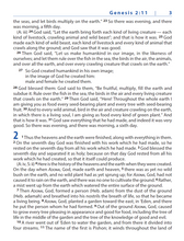 Load image into Gallery viewer, Complete Jewish Bible-Giant Print - Absolutely Beautiful as a Coffee Table  Bible!   8.5" x 11"